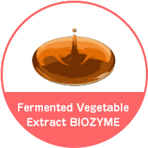 Fermented Vegetable Extract BIOZYME