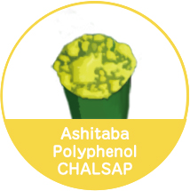 Ashitaba Polyphenol CHALSAP