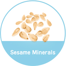 Sesame Minerals