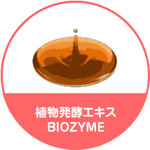 植物発酵エキスBIOZYME