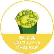 Ashitaba Polyphenol CHALSAP