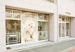 LuLuDog