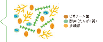 ビオチーム菌・酵素（たんぱく質）・多糖類