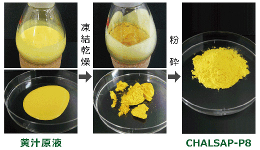 黄汁をパウダー化