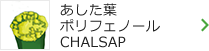 あした葉ポリフェノールCHALSAP