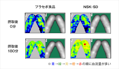 両手中指の血流動態変化