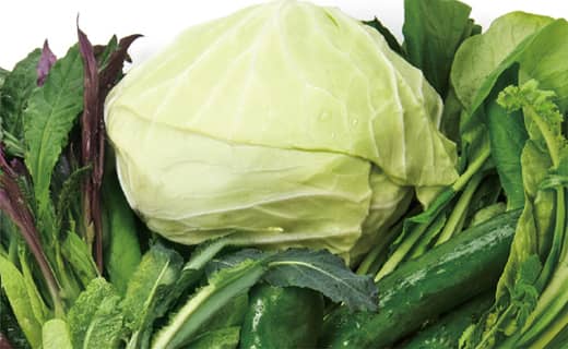 葉菜類