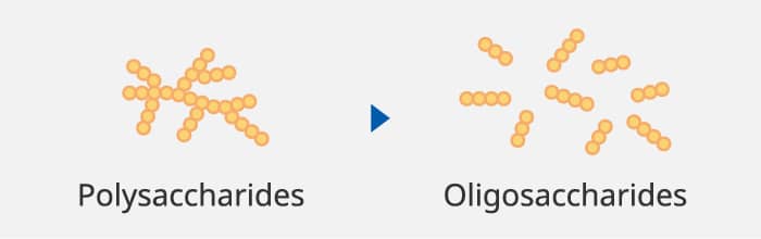Polysaccharides ▶ Oligosaccharides