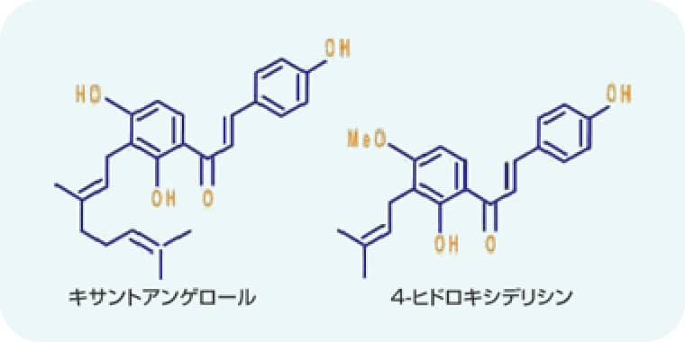 キサントアンゲロール 4-ヒドロキシデリシン