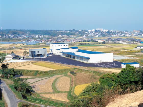 1996 （平成8年）