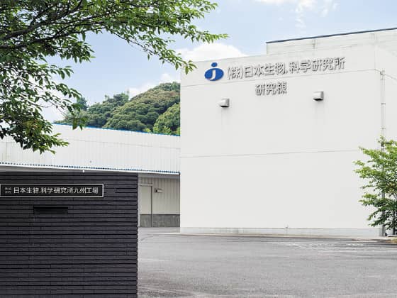 2005 （平成17年）