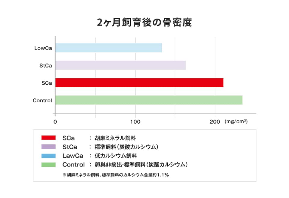 2ヶ月飼育後の骨密度