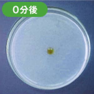 0分後