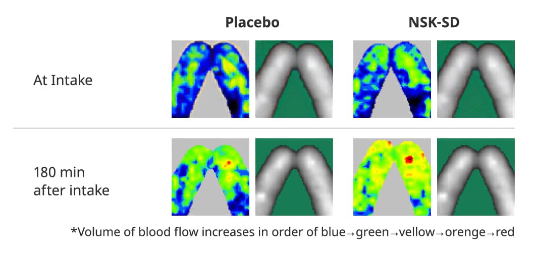 Blood Flow Improving Effect